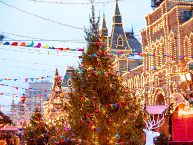 Новогодний тур от Манежной площади до ГУМа: «Здравствуй Елка! Новый год!» – индивидуальная экскурсия