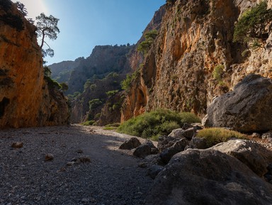 Дикая природа Крита: ущелье Арадена и южное побережье – групповая экскурсия