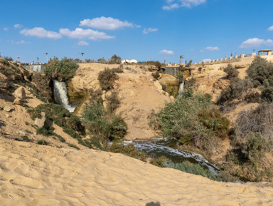 Оазис Эль-Файюм и Долина китов — природные чудеса Египта – индивидуальная экскурсия