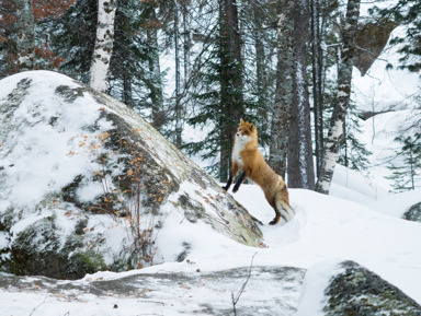 «Сибирская Швейцария» — тур в город Дивный, на ГЭС и «Столбы» – индивидуальная экскурсия