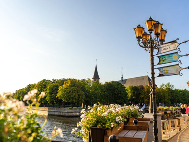 Обзорная экскурсия по Калининграду "8 веков за 4 часа"