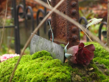Тайны и мистика Смоленского кладбища – индивидуальная экскурсия