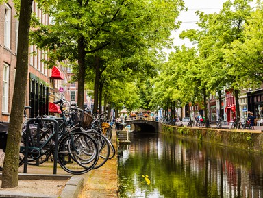 Делфт, самый голландский из всех городов – индивидуальная экскурсия