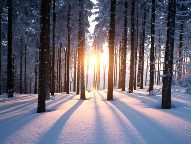 Горячее сердце холодной Сибири за два часа – индивидуальная экскурсия