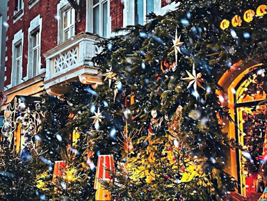 Рождественская Балтика: Светлогорск, Зеленоградск и сыроварня «Шаакендорф» – индивидуальная экскурсия