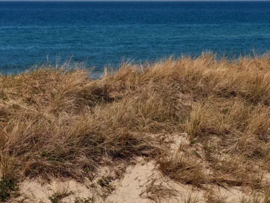 Янтарный Светлогорск + посещение производства янтаря в мини-группе – групповая экскурсия