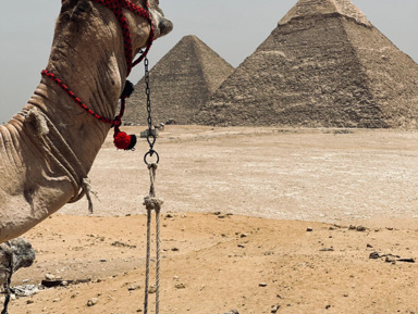 «Путь фараонов: (Саккара – Гиза –Новый грандиозный музей) – индивидуальная экскурсия