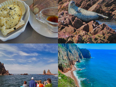 Морское приключение, морские котики и морепродукты во Владивостоке – групповая экскурсия