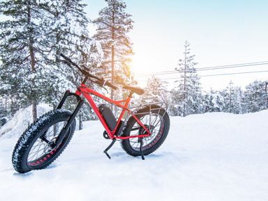 Велопрогулка по Александровскому парку Царского Села – индивидуальная экскурсия