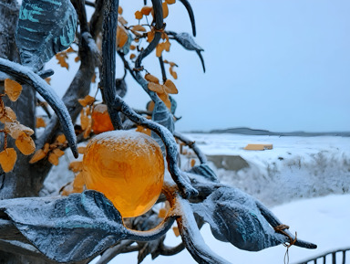 Янтарное Рождество – групповая экскурсия