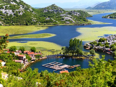 По Скадарскому озеру с черногорцем – индивидуальная экскурсия