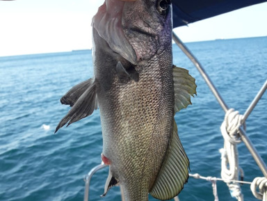 Рыбалка – групповая экскурсия