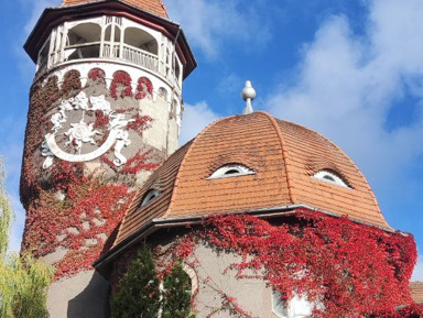 Светлогорск (Раушен): один день на курорте начала XX века – индивидуальная экскурсия