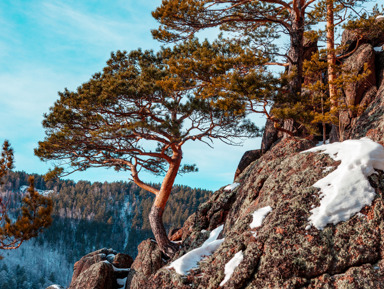 Таежная сказка заповедника Столбы – индивидуальная экскурсия