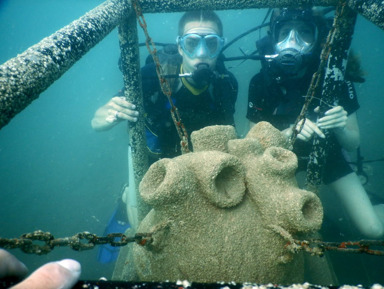 Дайвинг в Черном море – групповая экскурсия
