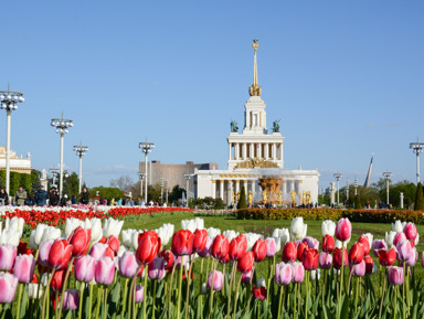 Прогулка по ВДНХ: традиции и современность – групповая экскурсия