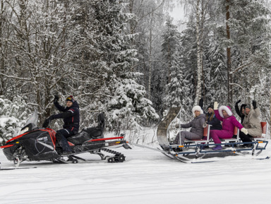 На современных санях за снегоходом - прогулка по лесу – групповая экскурсия