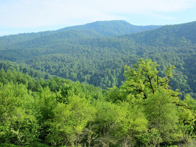 4 дня: Кодорское ущелье, Южный приют и Клухорскии перевал – индивидуальная экскурсия