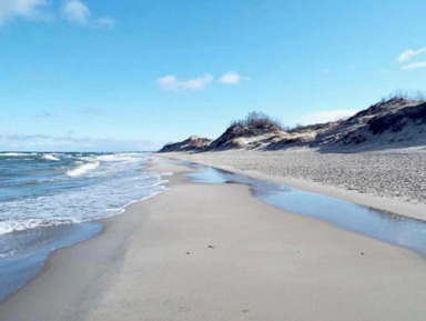Необыкновенная Куршская коса, Зеленоградск и замок Нессельбек – индивидуальная экскурсия
