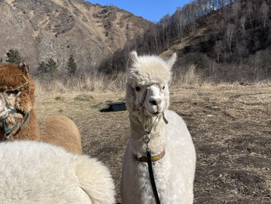 Урочище Джилы-Су – место, где рождаются легенды, водопады – групповая экскурсия