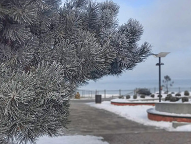 Зеленоградск — маховик времени – индивидуальная экскурсия