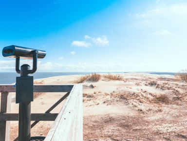 «Песчаная катастрофа»: увлекательная экскурсия по Куршской косе