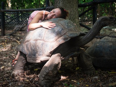 Из Занзибара — на остров гигантских черепах – индивидуальная экскурсия