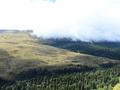 Большая обзорная: Лаго-Наки / Парящая беседка / Остров любви / Пещера – индивидуальная экскурсия