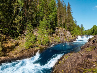 Карелия в миниатюре: водопад Кивач и Марциальные воды – групповая экскурсия