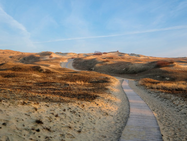 Танцующий лес и поющие пески: на Куршскую косу в мини-группе – групповая экскурсия