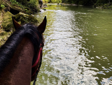 Конная прогулка по заповедным тропам – групповая экскурсия