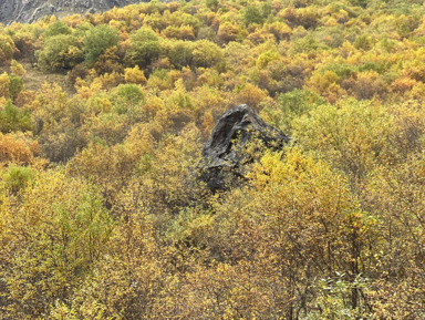 Северная Осетия-Прикоснуться к истории-более 5 ущелий и перевалов... – индивидуальная экскурсия