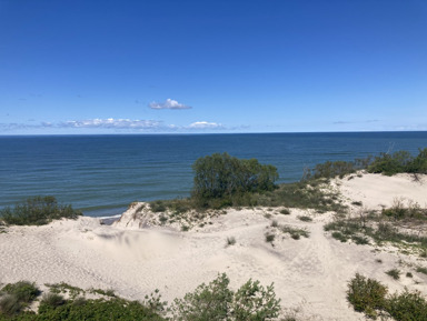 Куршская коса, Зеленоградск, замок Шаакен и сыроварня «Шаакен Дорф»  – индивидуальная экскурсия