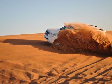 Сафари по Аравийской пустыне (из Шарджи) – групповая экскурсия