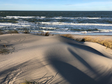 Экспресс-знакомство с Куршской косой – индивидуальная экскурсия