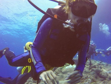 Дайвинг - знакомство с подводным миром – групповая экскурсия
