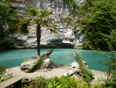 Золотое кольцо Абхазии 🏝+завтрак+мандариновый сад – групповая экскурсия