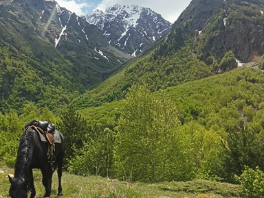 Прогулка на лошадках к водопаду  – индивидуальная экскурсия