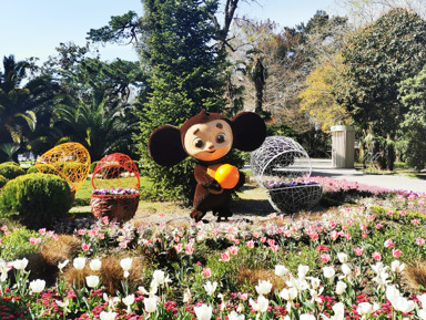 Четыре сезона: городская бродилка по Сочи (в мини-группе) – групповая экскурсия