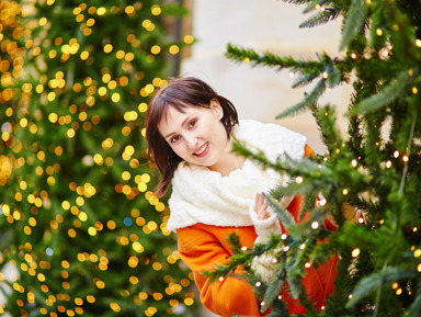 Новогодний Петербург и самые красивые ёлки города – групповая экскурсия