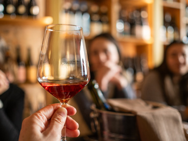 Экскурсия на виноградную усадьбу «Вилла София» с дегустацией