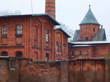 Замки Восточной Пруссии: Вальдау, Тапиау, Георгенбург – индивидуальная экскурсия