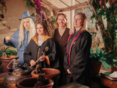 Музей Гарри Поттера – индивидуальная экскурсия