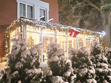 Жемчужины Балтики – индивидуальная экскурсия