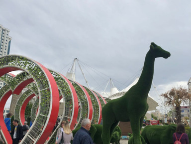 Джип-тур в Чечню в мини-группе — Грозный, Аргун и Шали – групповая экскурсия