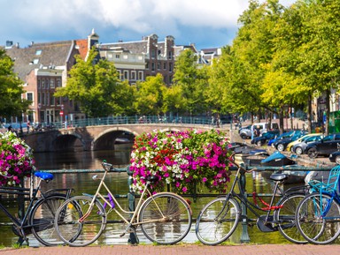 Велопрогулка по Амстердаму: влюбиться в город за три часа – индивидуальная экскурсия
