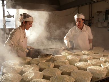 Сыр и вино в живописном Сан-Джиминьяно – индивидуальная экскурсия