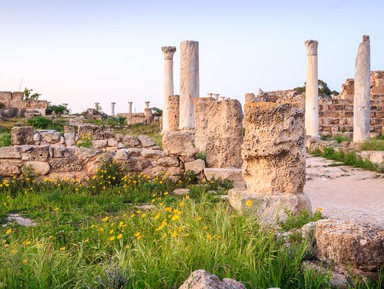 Саламин — Фамагуста. Античный, средневековый и современный Кипр (из Айя-Напы) – индивидуальная экскурсия