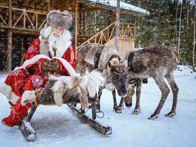 Онежская феерия 2026: Новогодний Петрозаводск и Вотчина Деда Мороза – групповая экскурсия