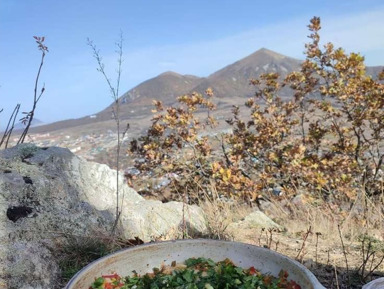 Пикник-путешествие по тропам горы Машук – групповая экскурсия